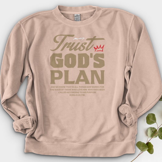 Trust God Plan Crewneck
