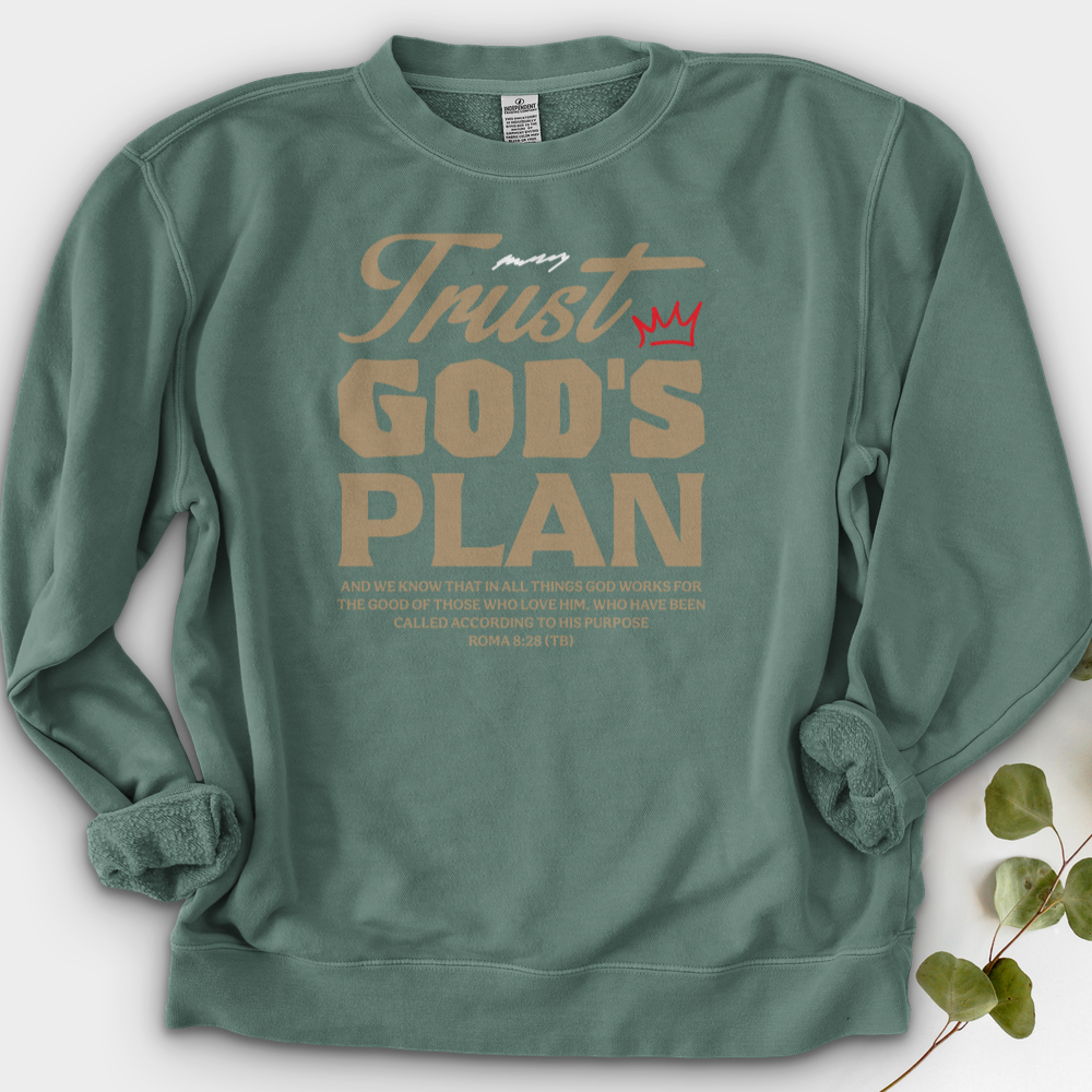 Trust God Plan Crewneck