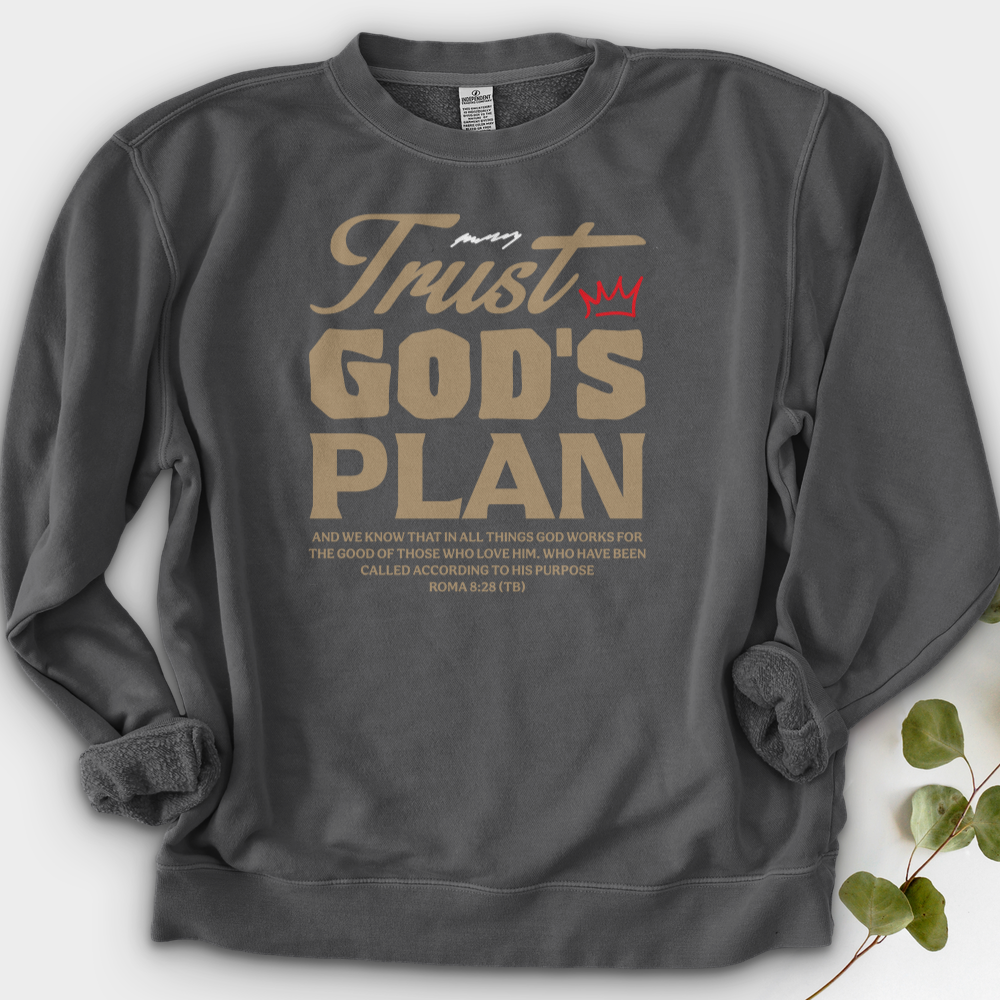Trust God Plan Crewneck