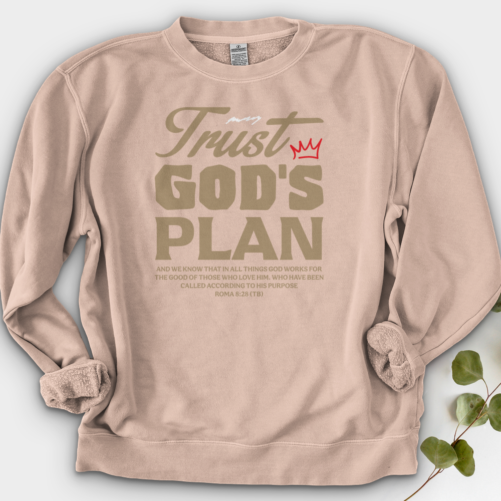 Trust God Plan Crewneck