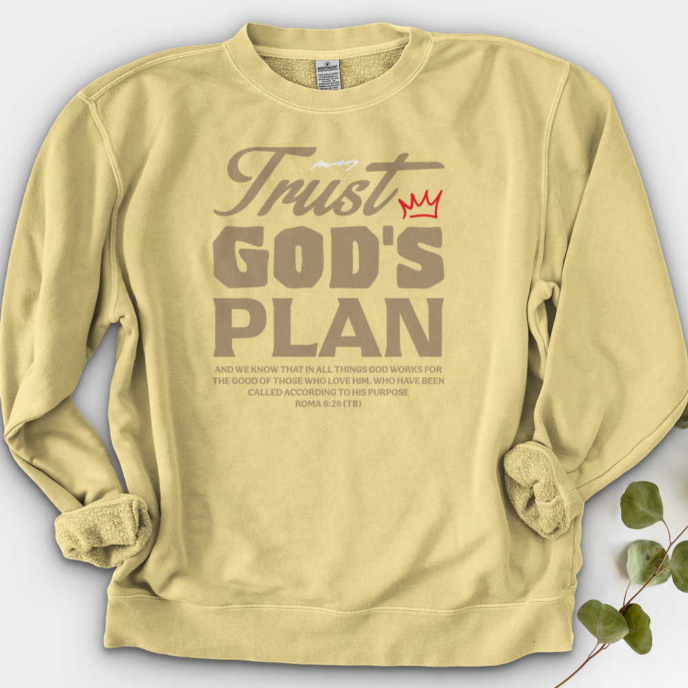 Trust God Plan Crewneck