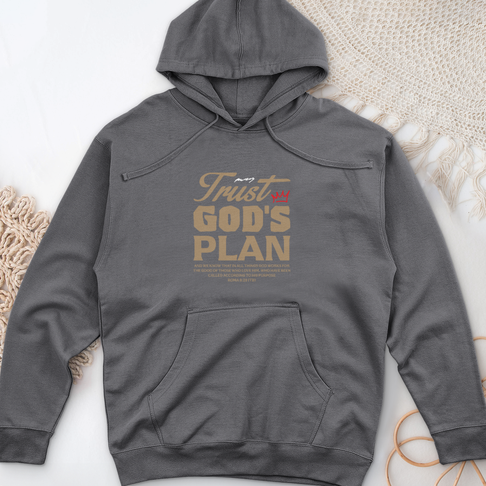 Trust God Plan Midweight Hooded Sweatshirt